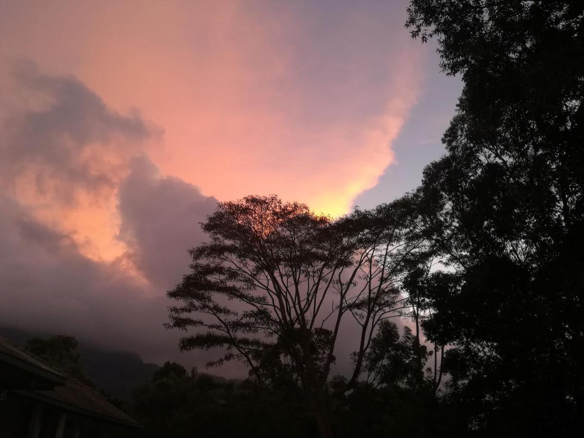 Jungle Tide Bed & Breakfast แคนดี้ ภายนอก รูปภาพ