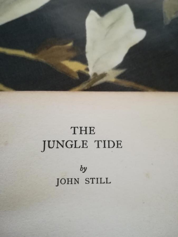 Jungle Tide Bed & Breakfast แคนดี้ ภายนอก รูปภาพ