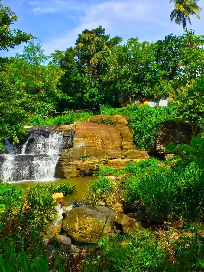 Jungle Tide Bed & Breakfast แคนดี้ ภายนอก รูปภาพ