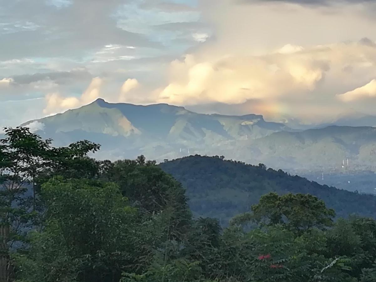 Jungle Tide Bed & Breakfast แคนดี้ ภายนอก รูปภาพ
