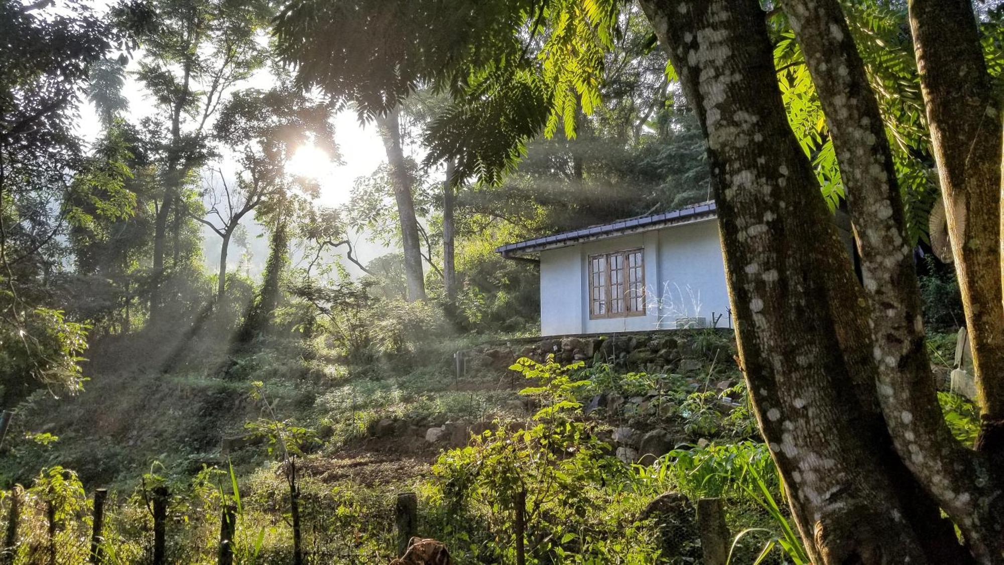 Jungle Tide Bed & Breakfast แคนดี้ ภายนอก รูปภาพ