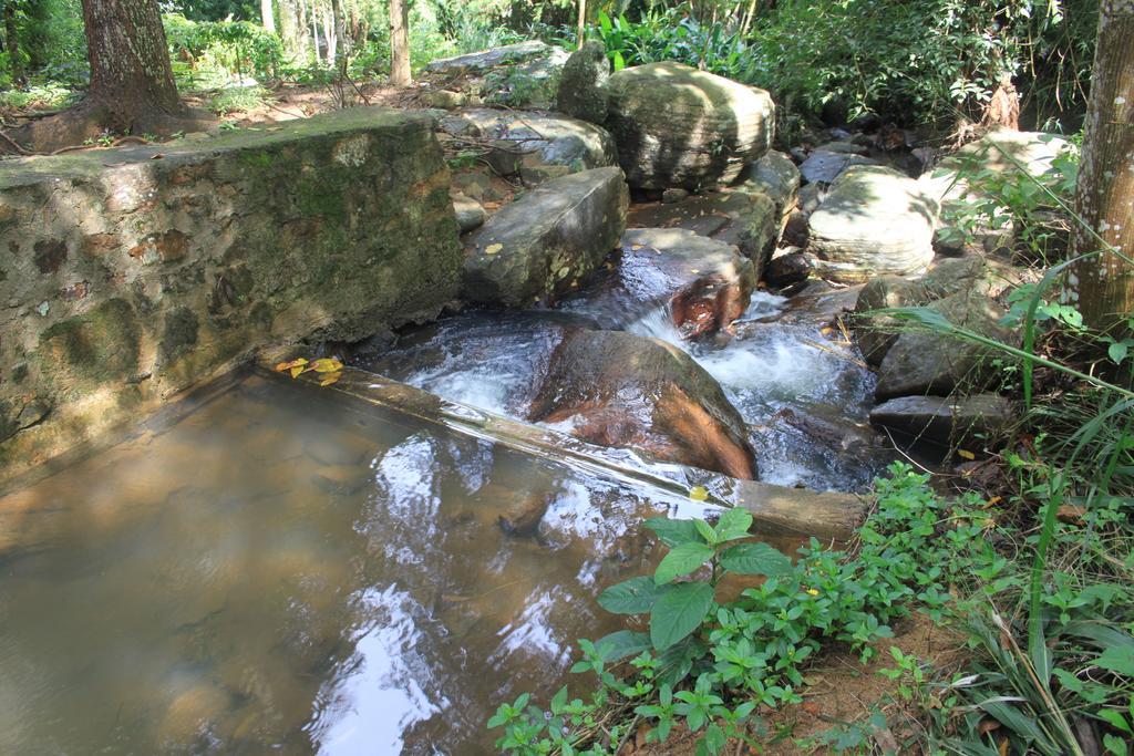 Jungle Tide Bed & Breakfast แคนดี้ ภายนอก รูปภาพ